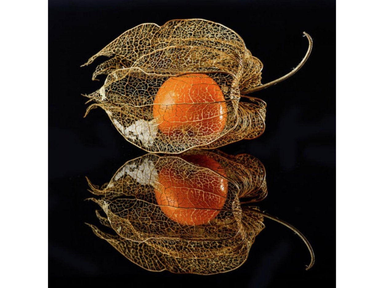 Физалис в ювелирке