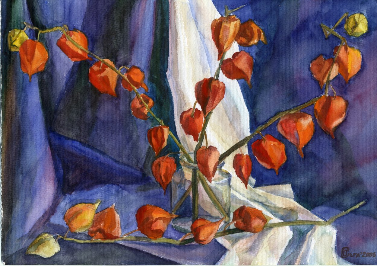 Светлана Лансе физалис