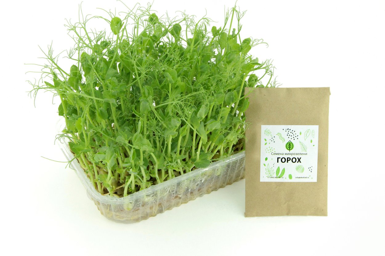 Норма высева люцерны на 1 га