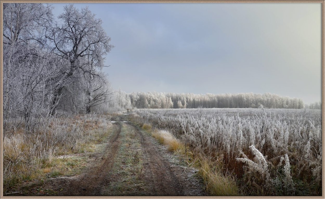 Поле поздней осенью