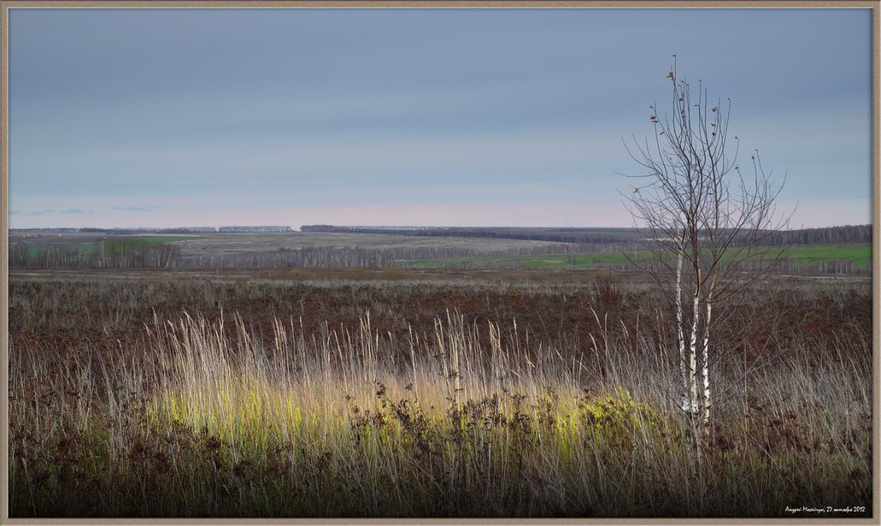 Поздняя осень в поле