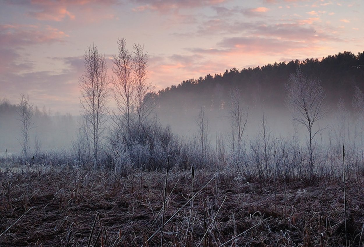 Ноябрь туман