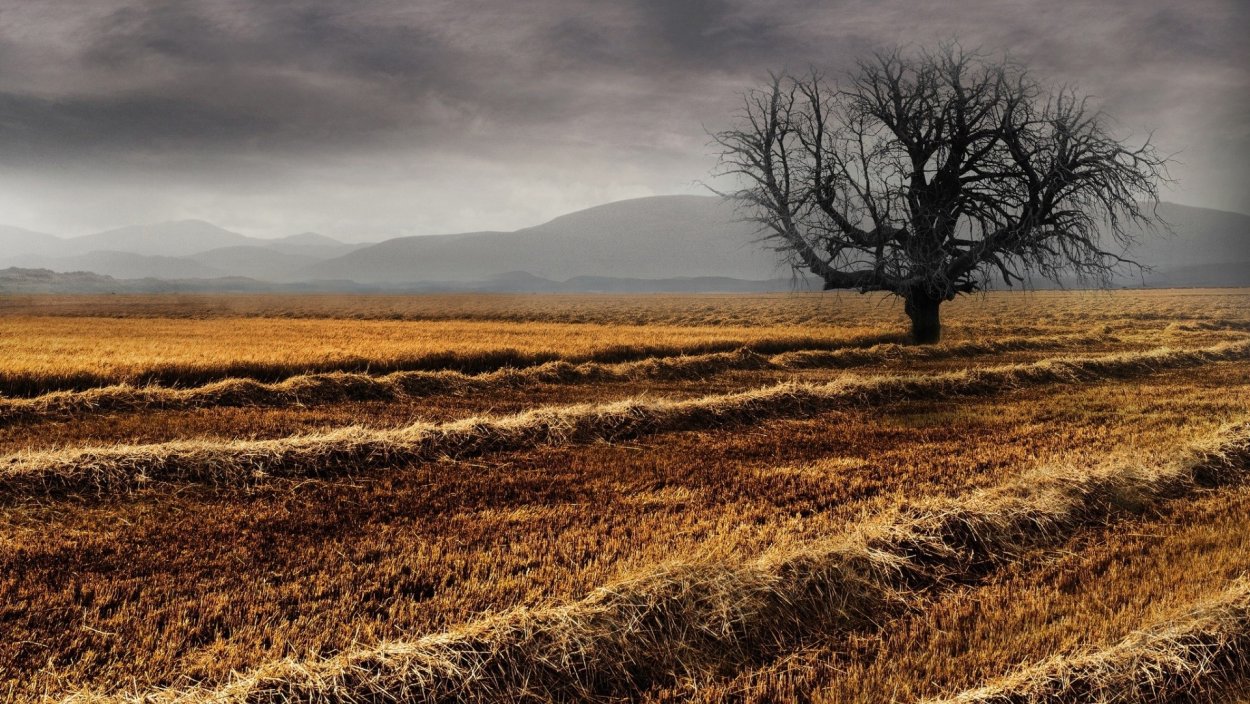 Поздняя осень