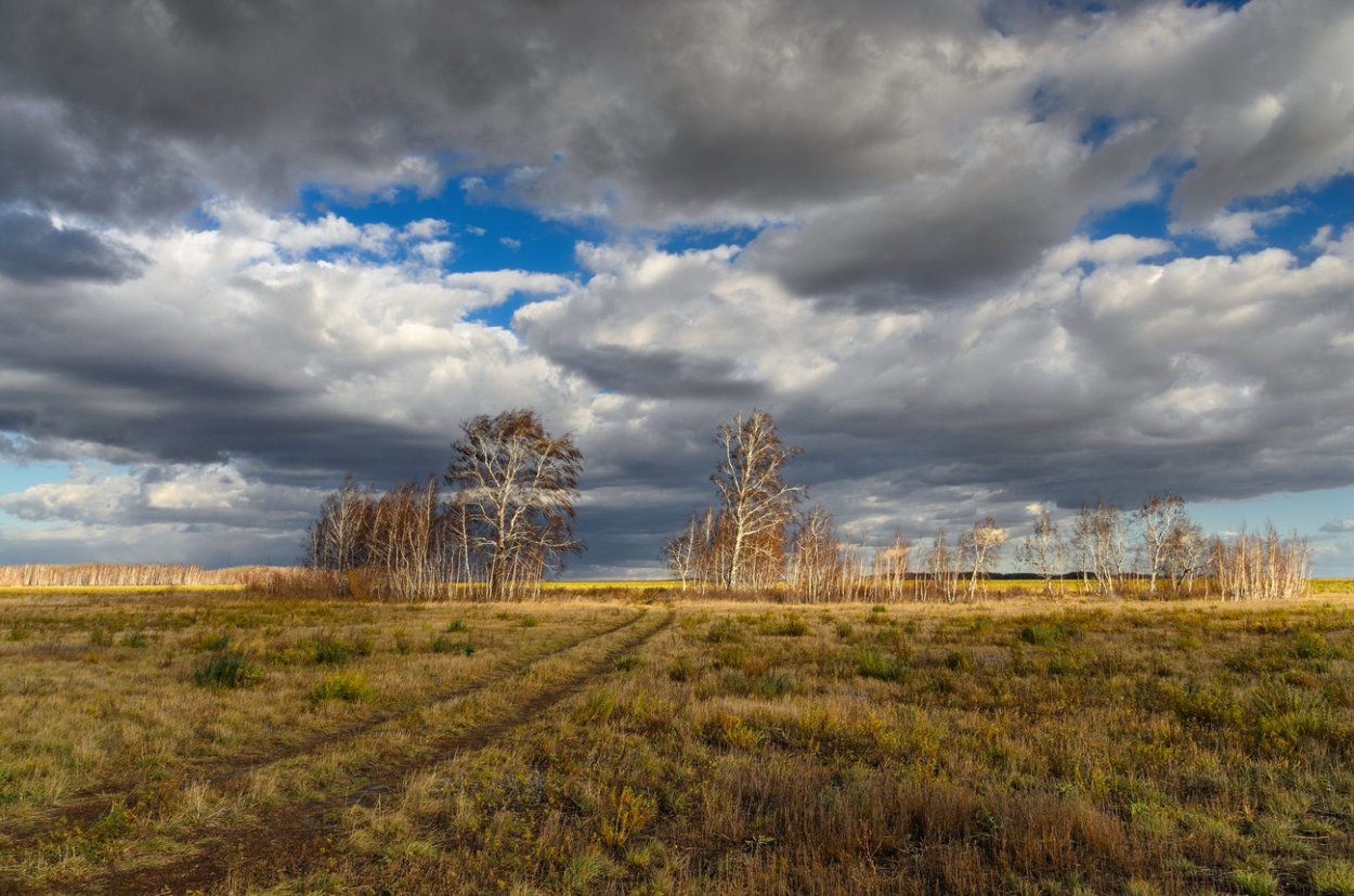 Тольятти степь