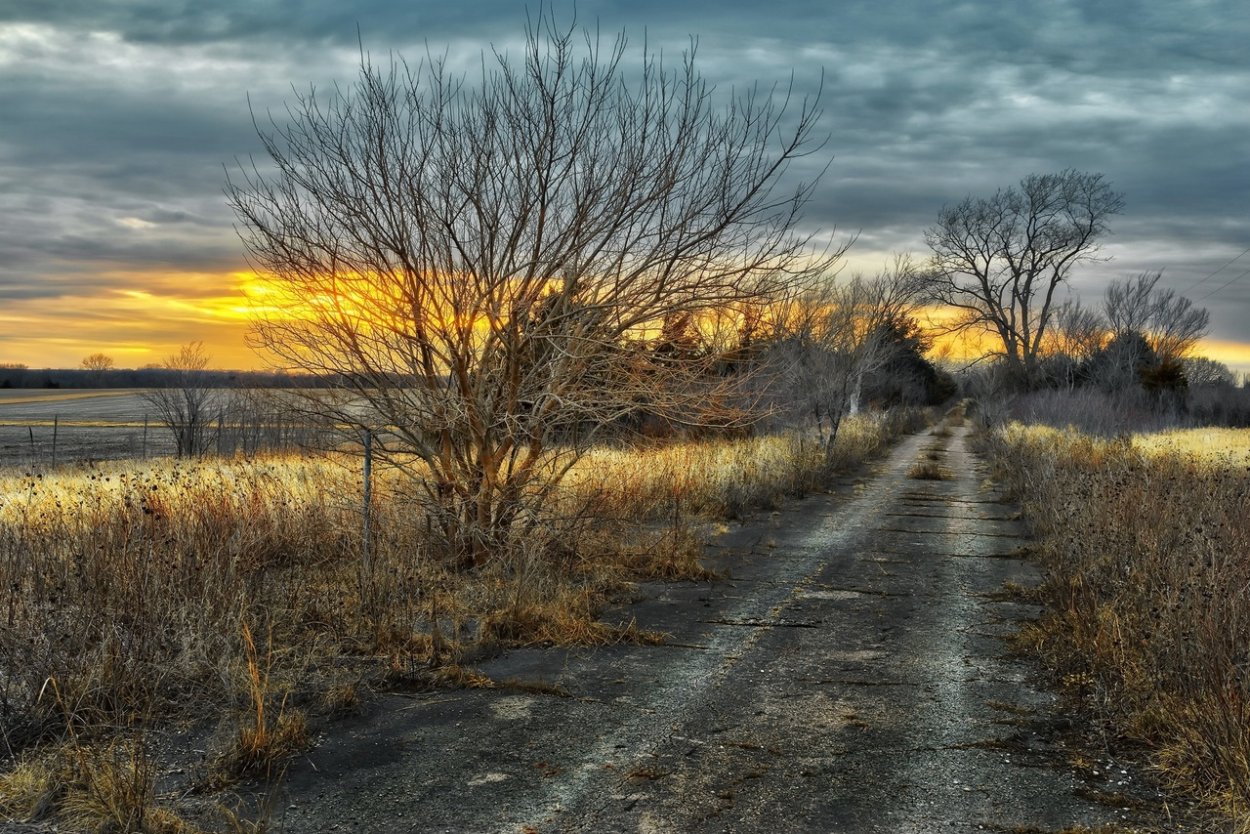 Поздняя осень в поле
