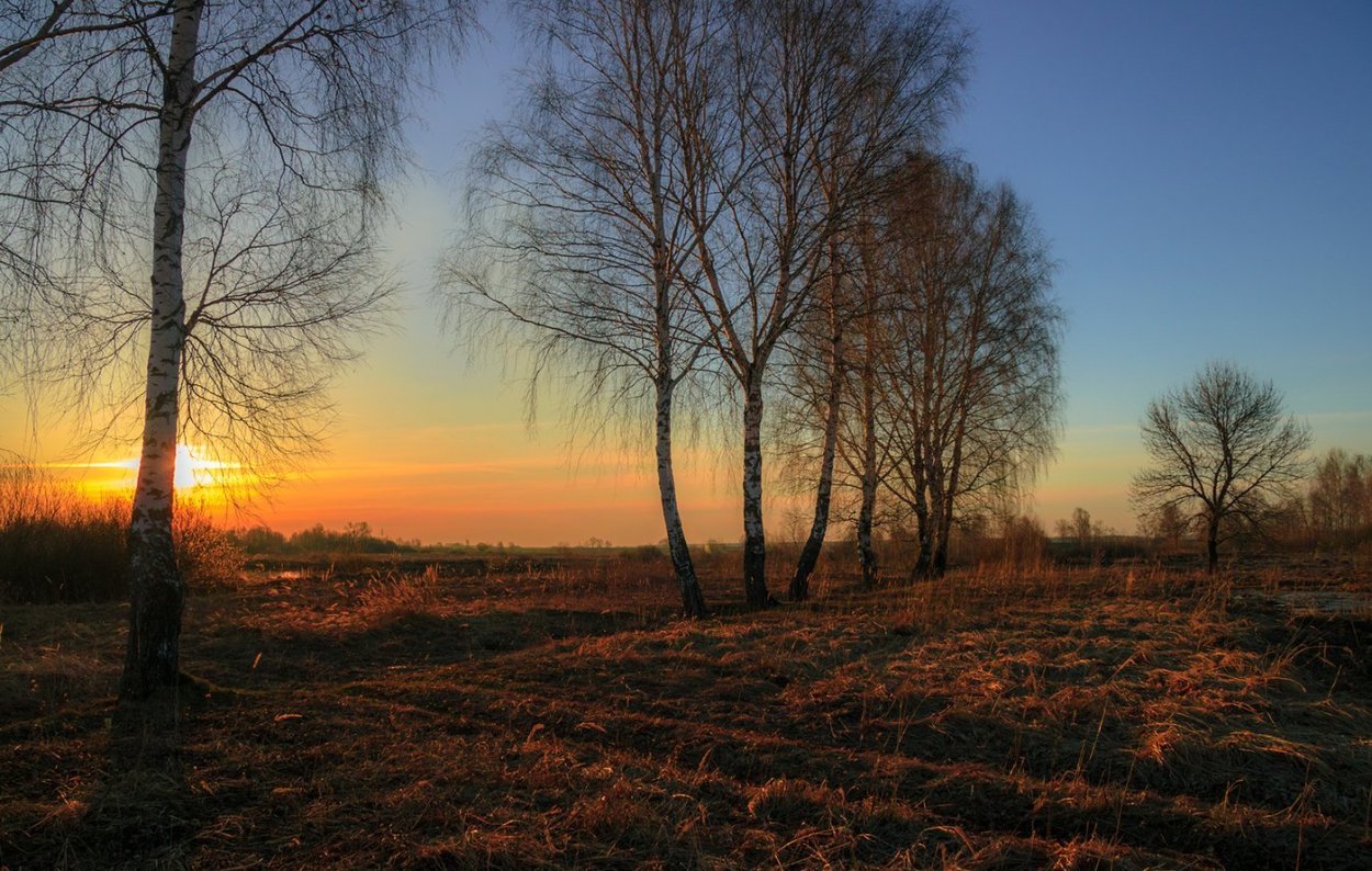 Хакасия осень Абакан степи
