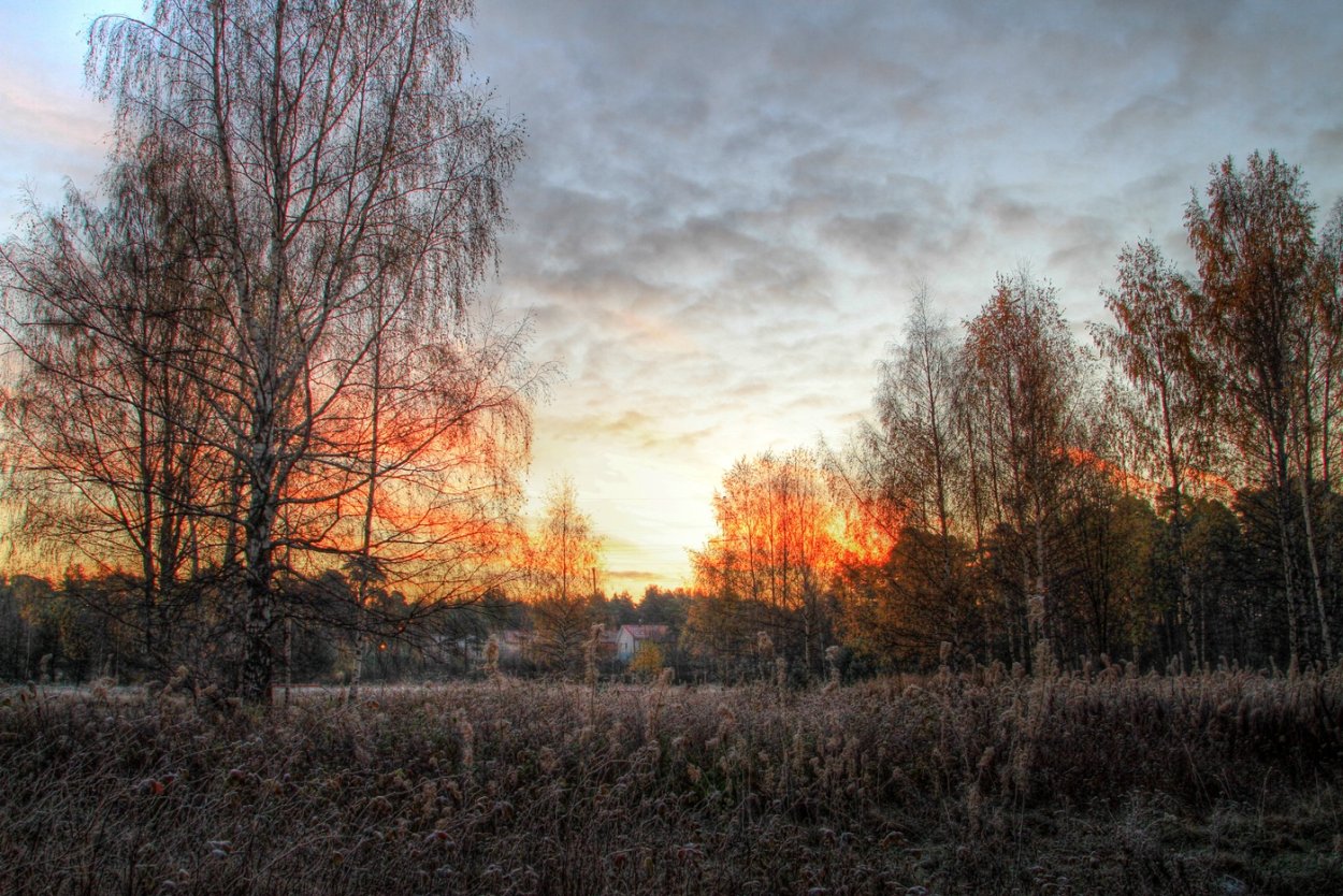 Поле поздней осенью