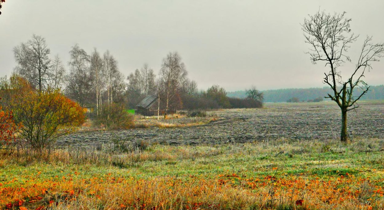 Осень Черноземья