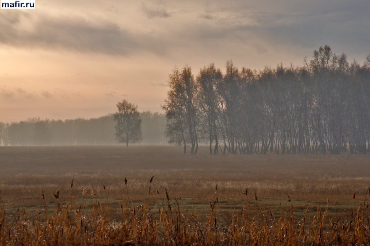 Поле поздней осенью