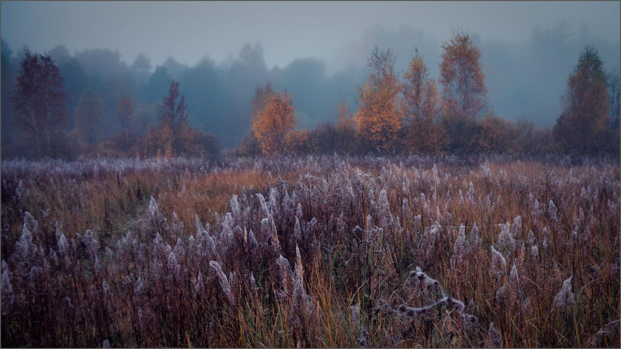 Поздняя осень