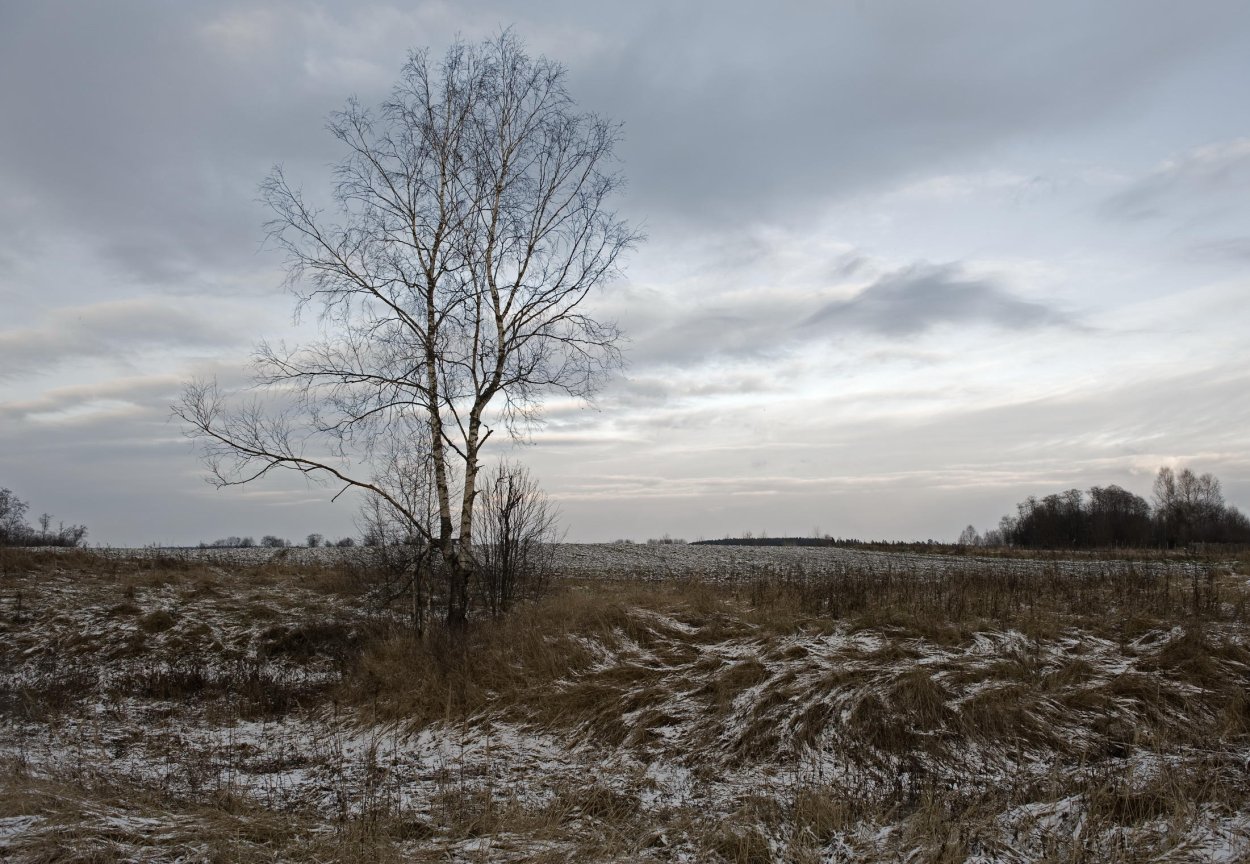Поле поздней осенью