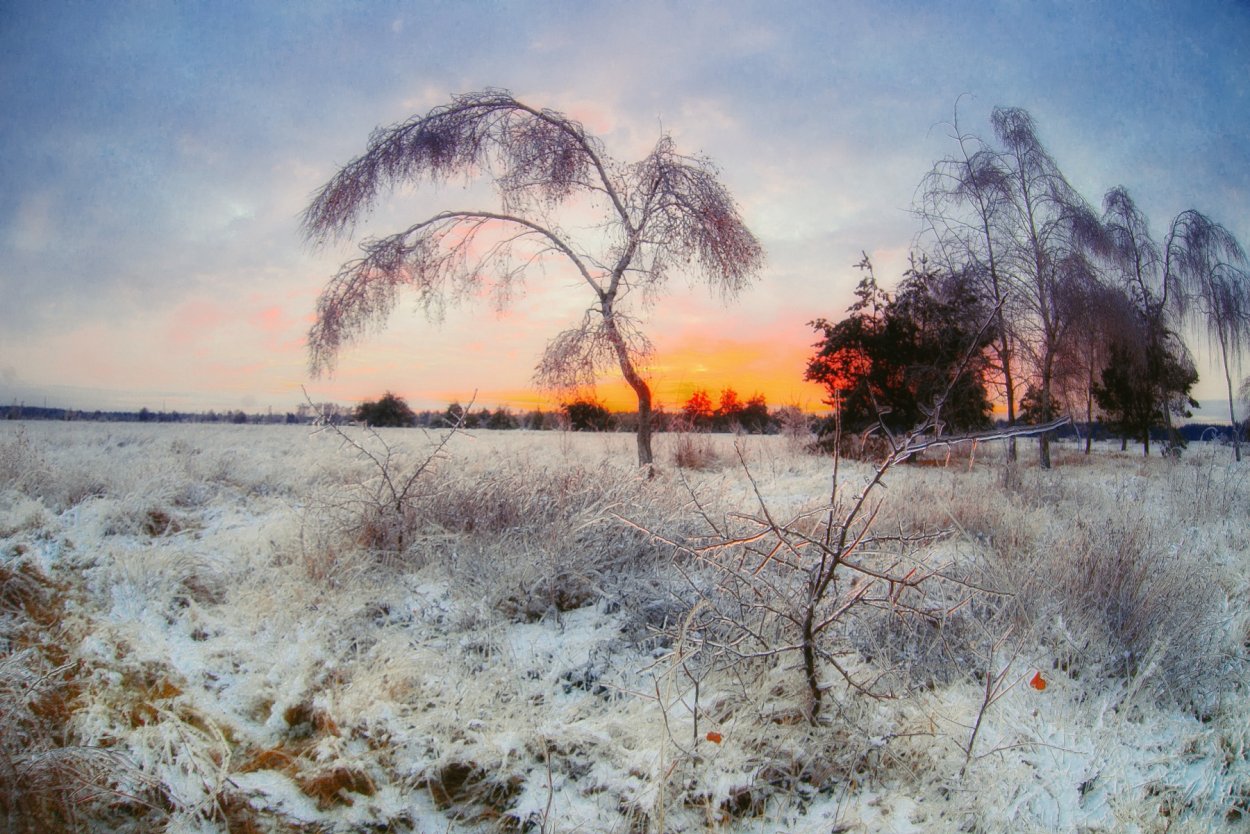 Заморозки природа