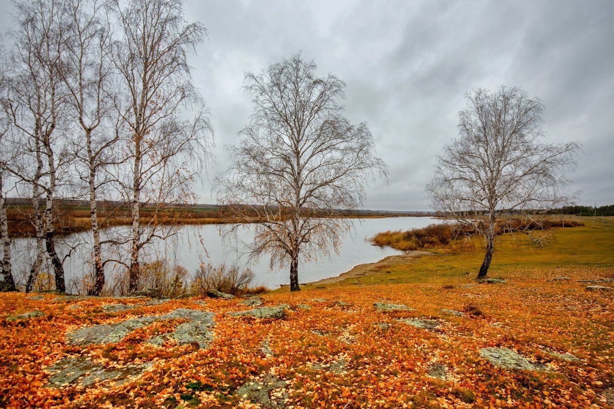 Поздняя хмурая осень