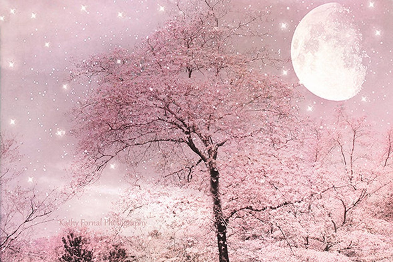 Розовая ночь