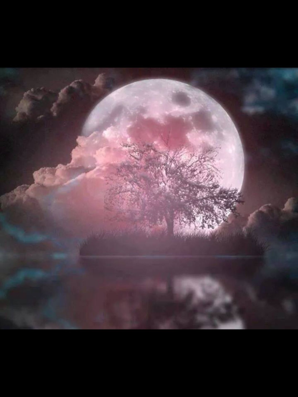 Ночь фэнтези