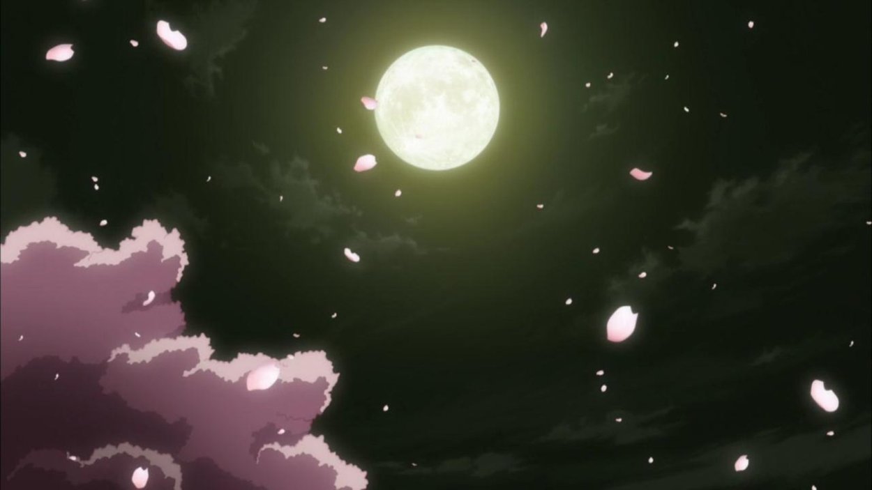 Сакура на фоне ночного неба