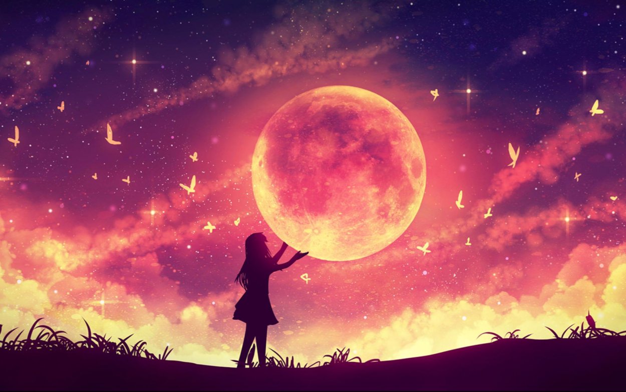 Яблони в цвету вечер