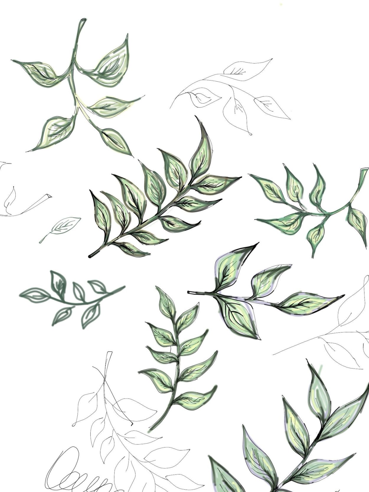 Пампасная трава акварель