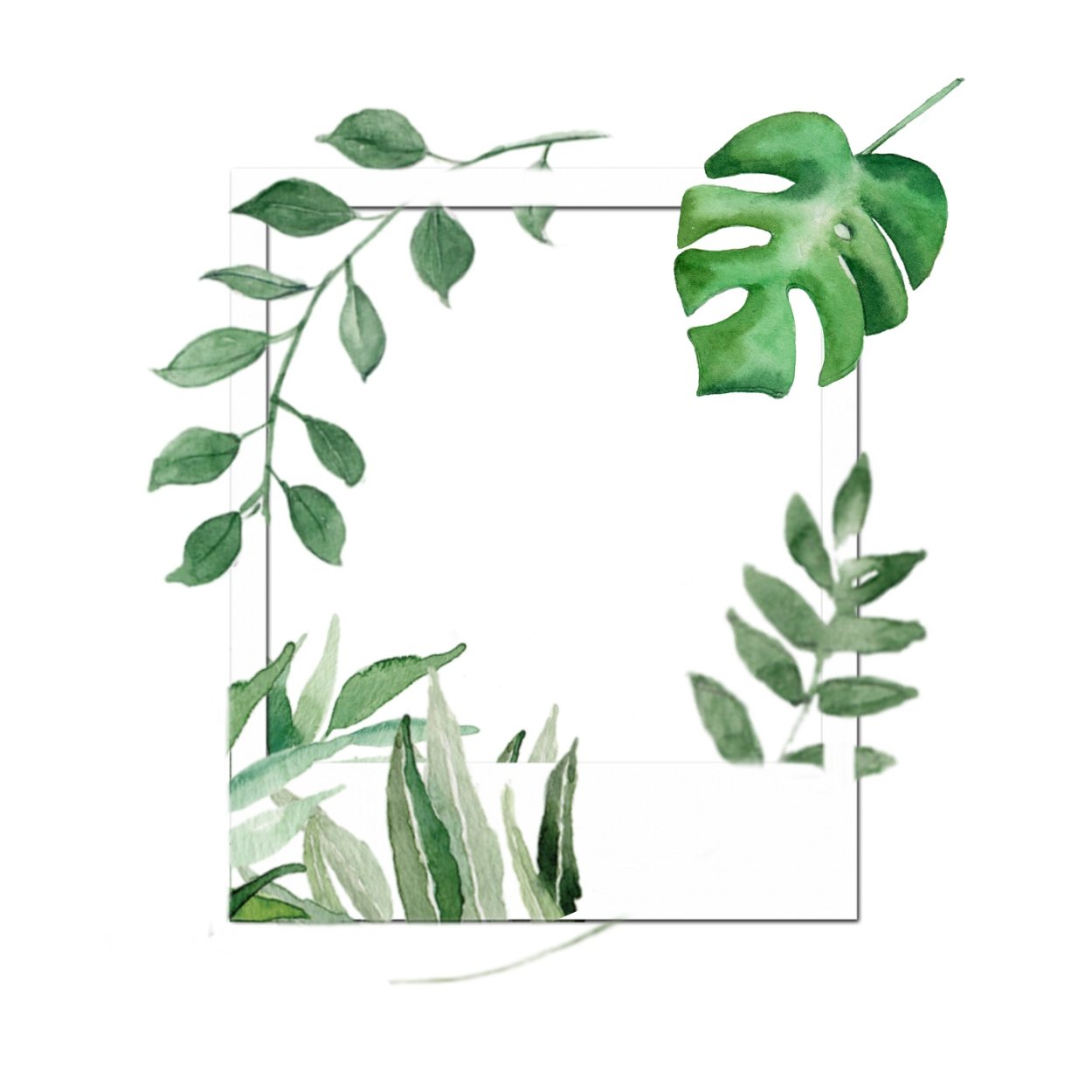 Сбор лекарственных растений