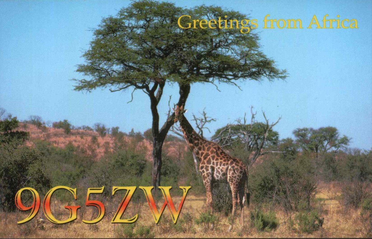 Дерево в саванне на закате