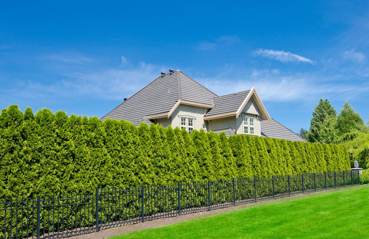 Ландшафтная мастерская Татьяны Поповой