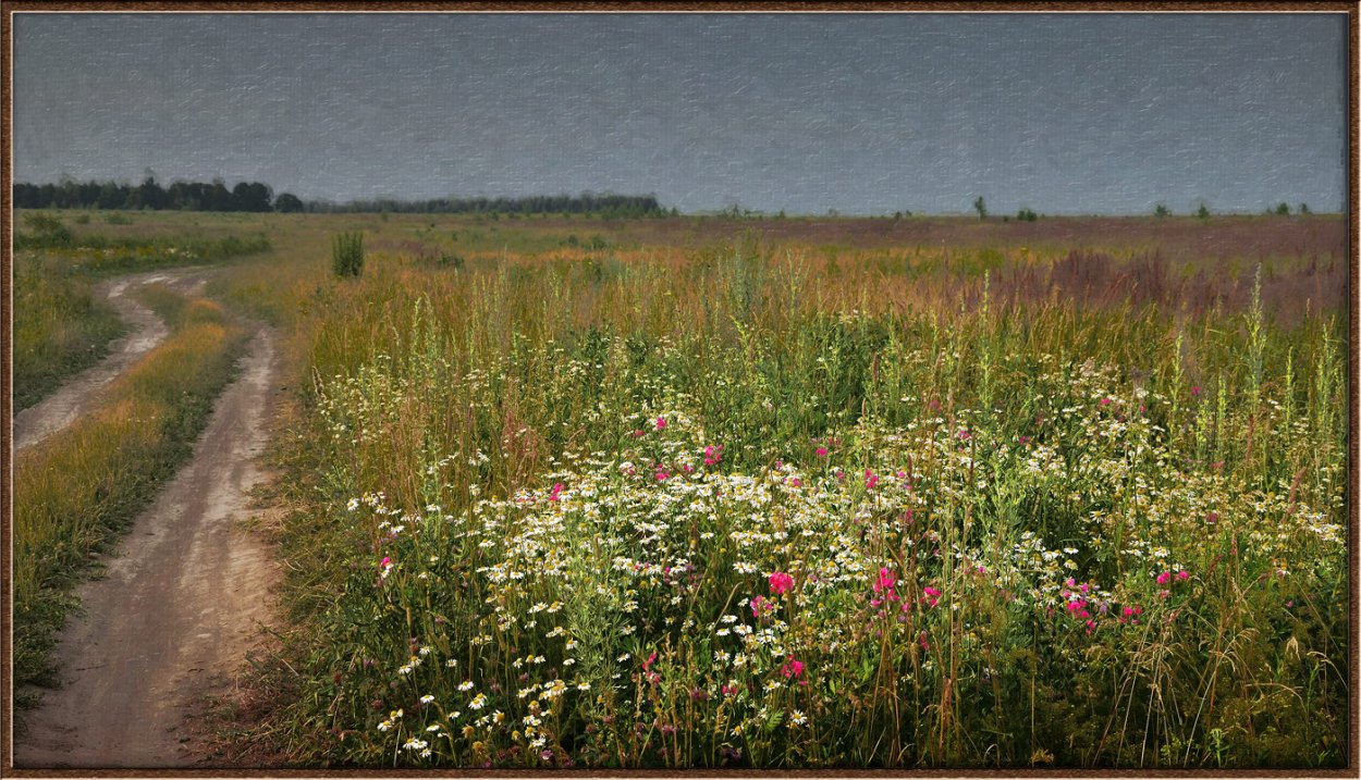 Многолетние ползучие сорняки