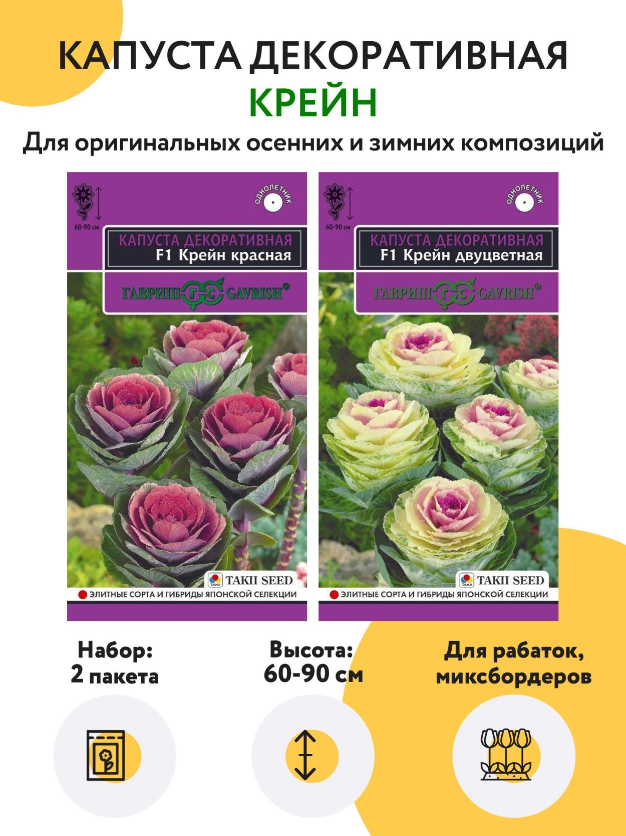 Капуста декоративная Осака