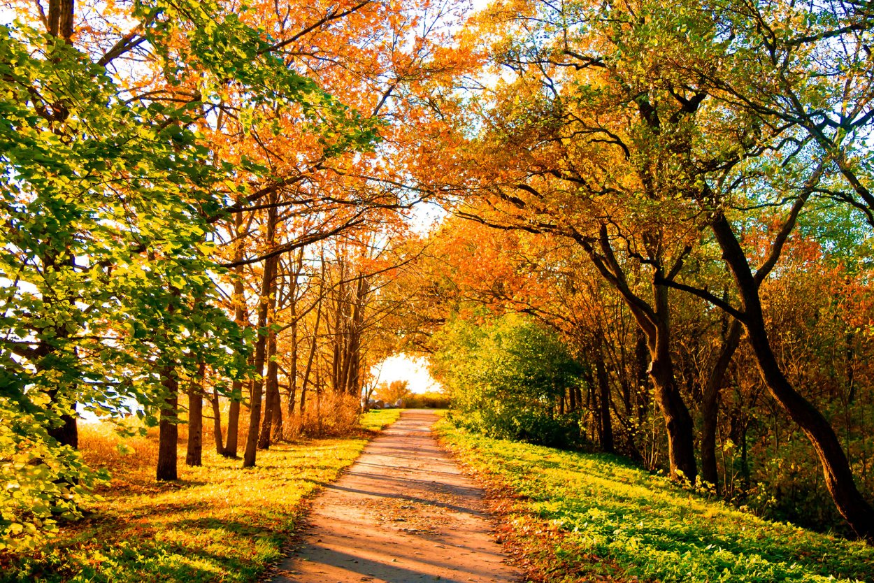 Осень сентябрь