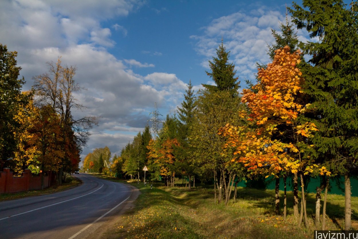 Осенний пейзаж Барнаул парк
