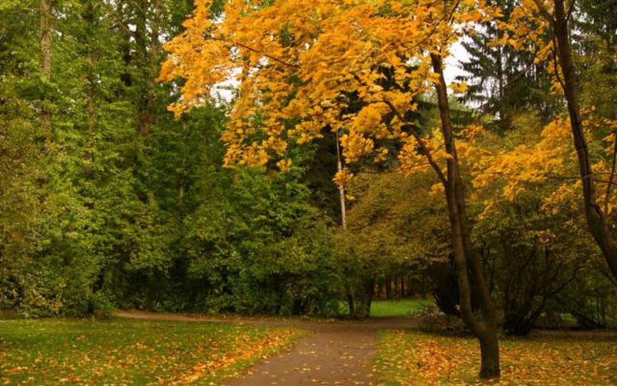 Сентябрь природа