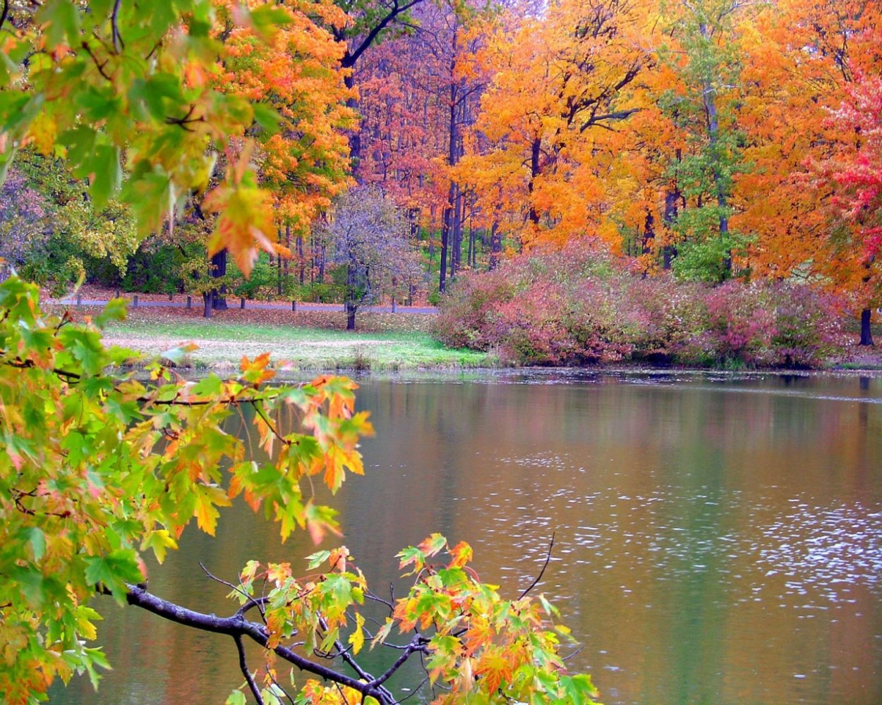 Сентябрь природа