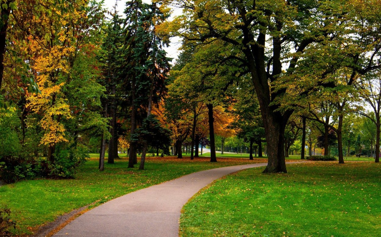 Кленовая аллея Кисловодск