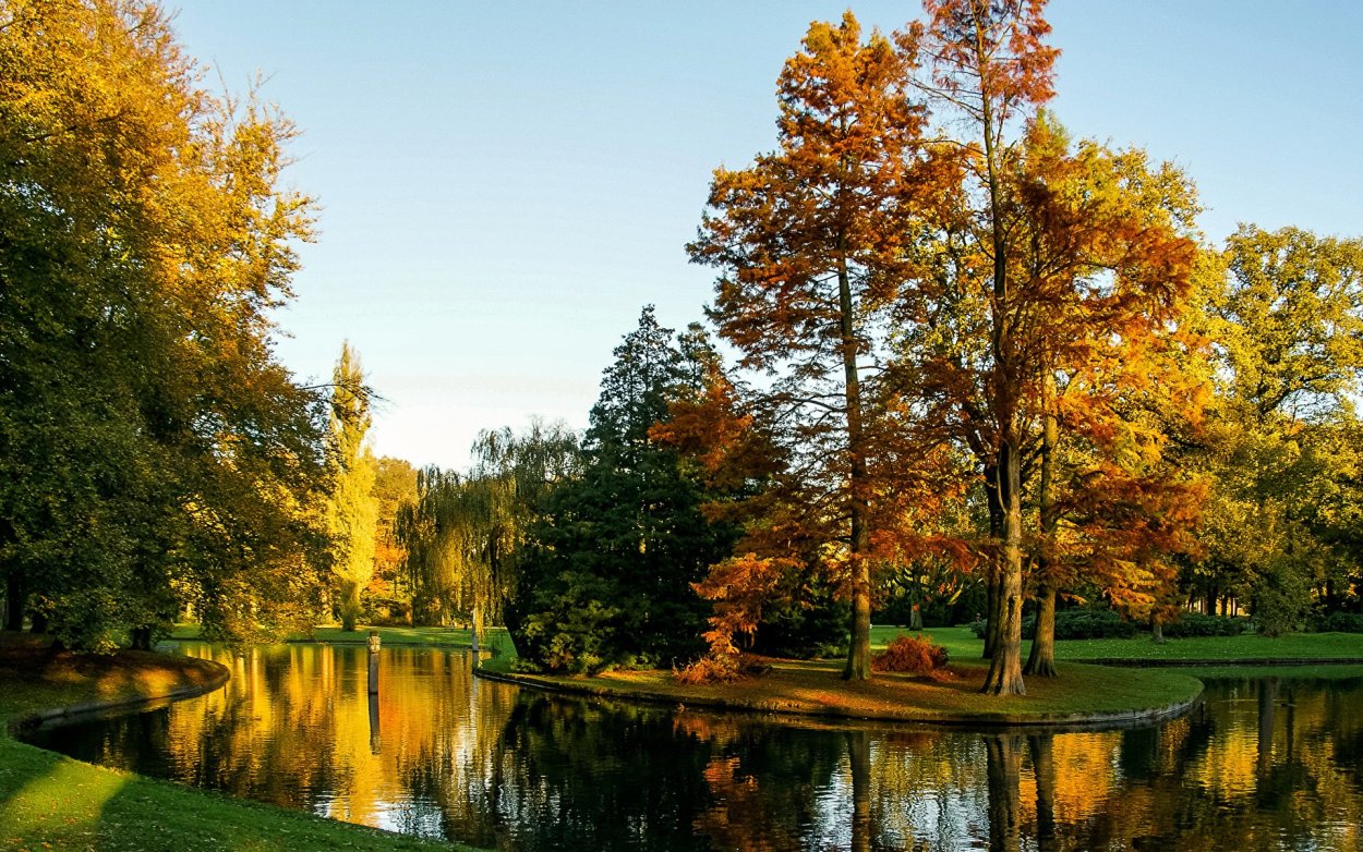 Осенний парк