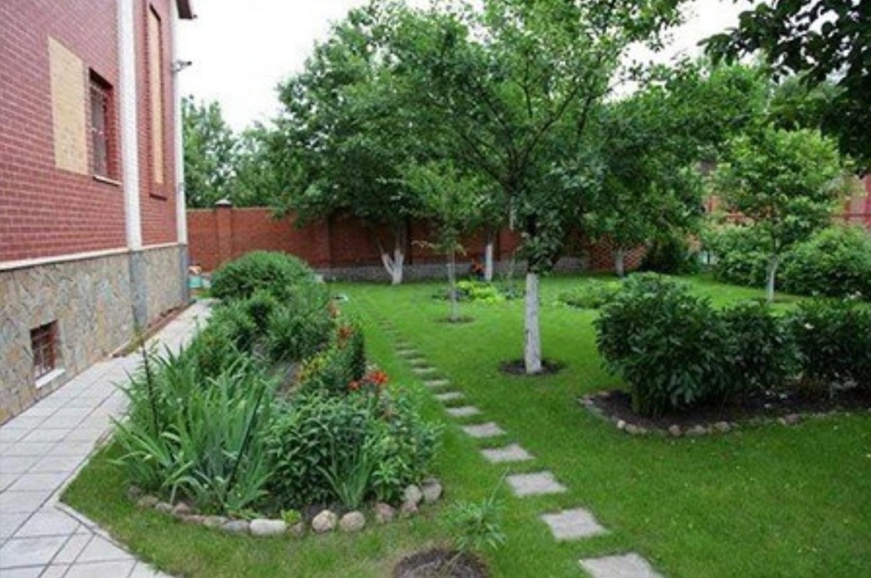 Плодовый сад на участке 9 соток