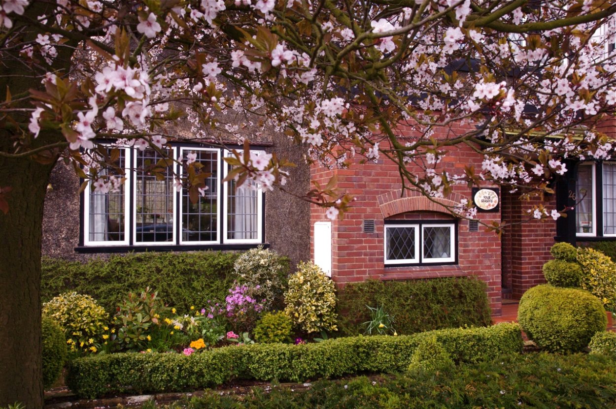 Вишневый сад поместье