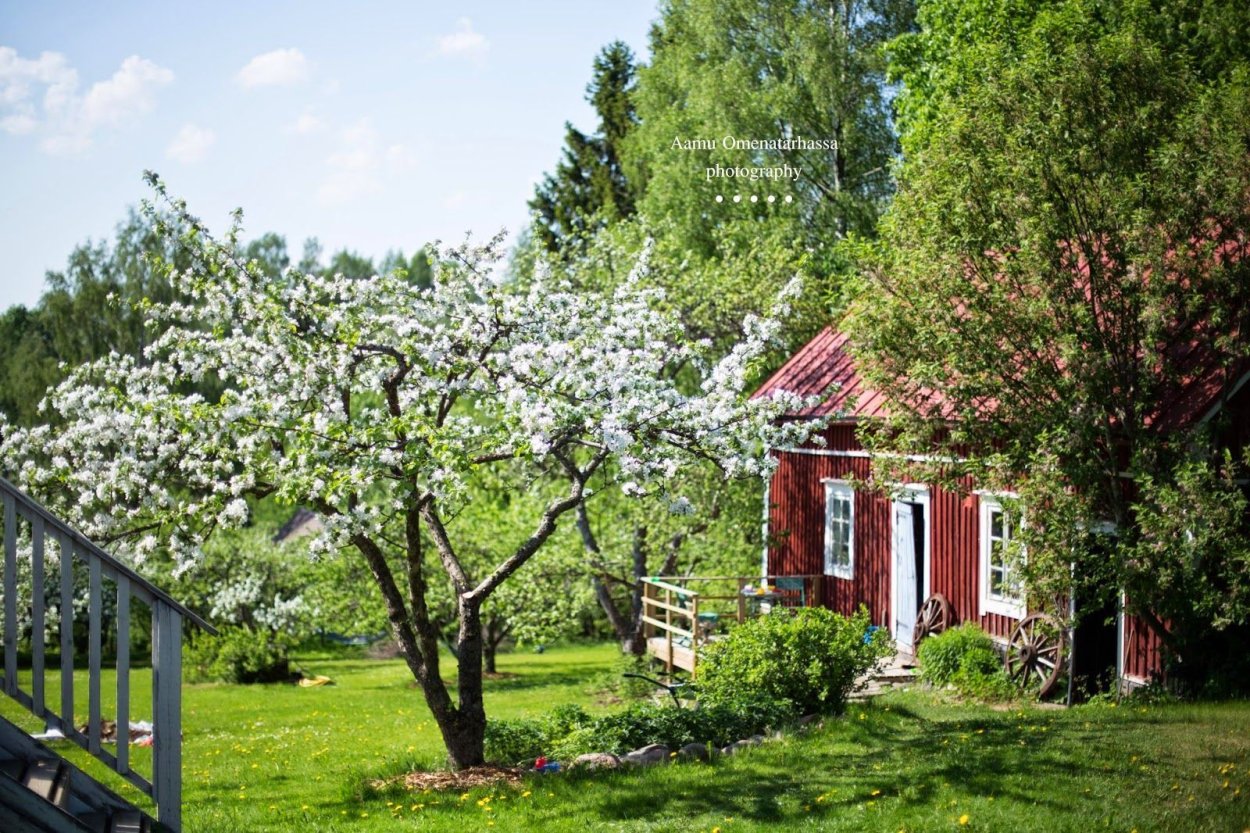 Красивые сады Финляндии