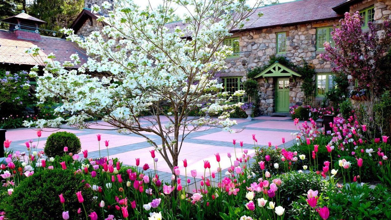 Красивый сад весной