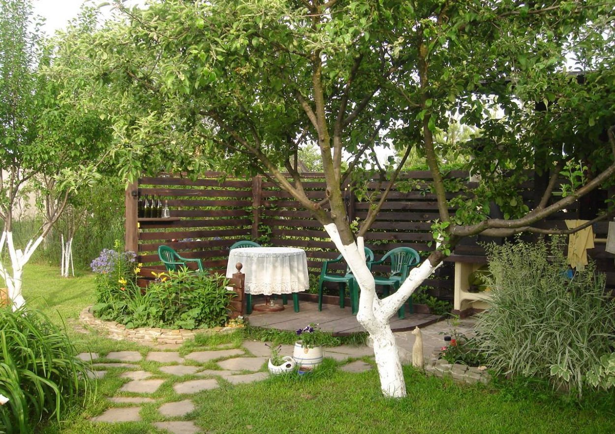 Зона отдыха под яблоней