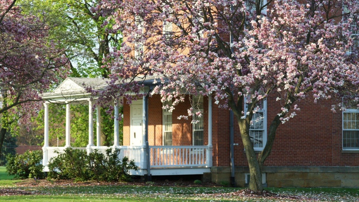 Вишневый сад имение