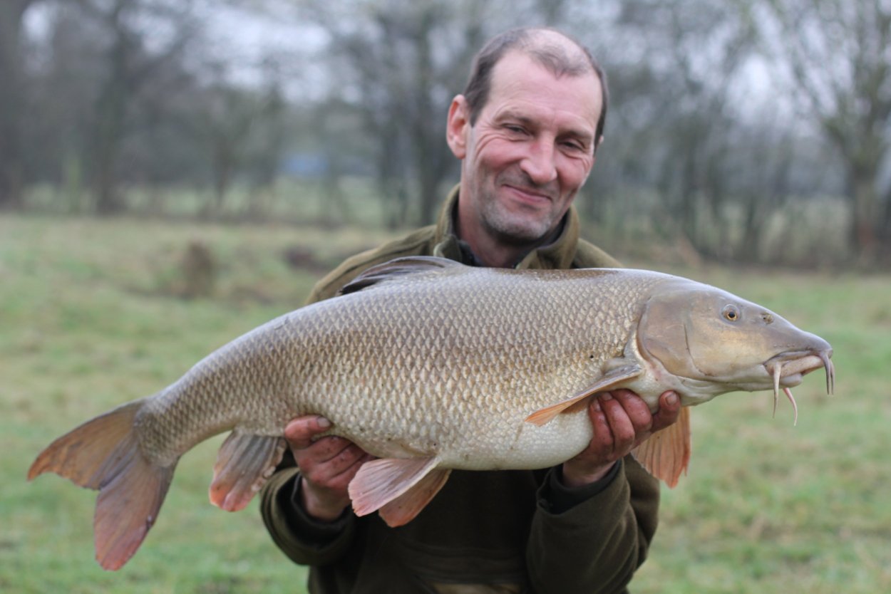 Черный Сосновый усач (Monochamus galloprovincialis oliv.)