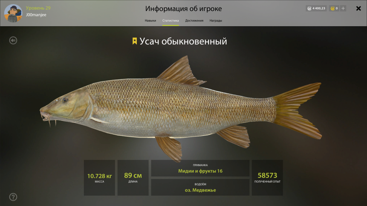 Усач-кожевенник дровосек-Кожевник