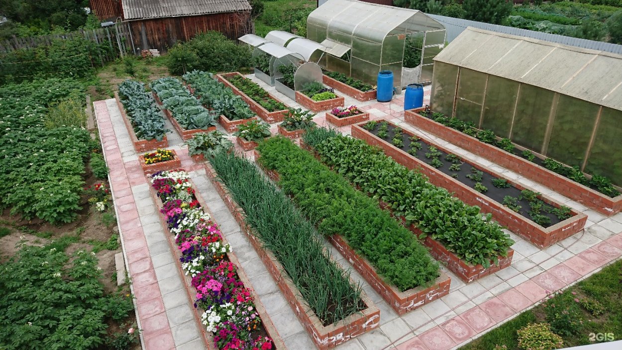 Озеленение патио зона