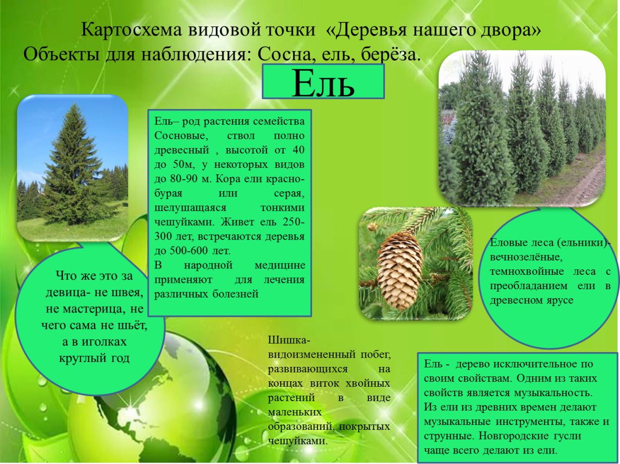 Точки экологической тропы