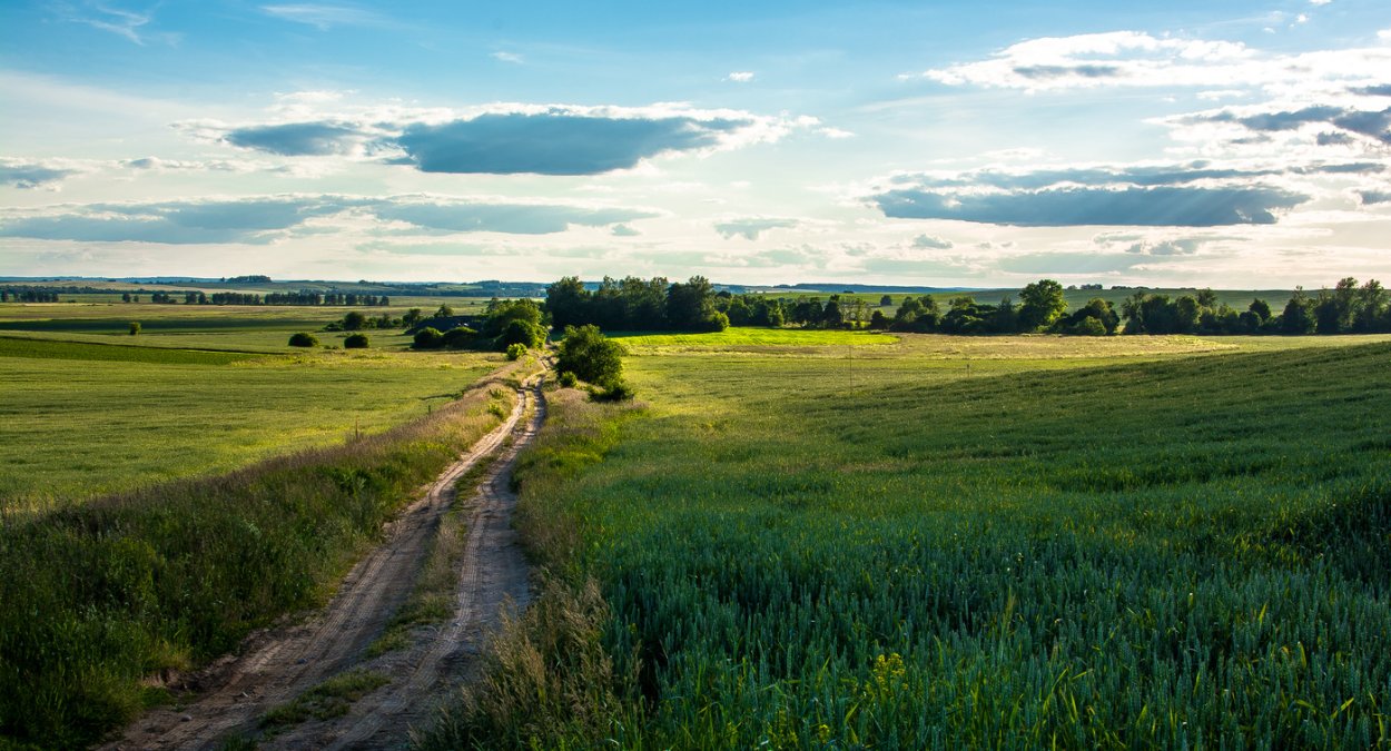 Поля Костромской области