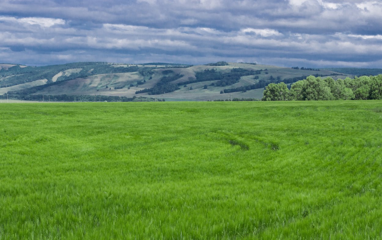 Равнины Башкирии