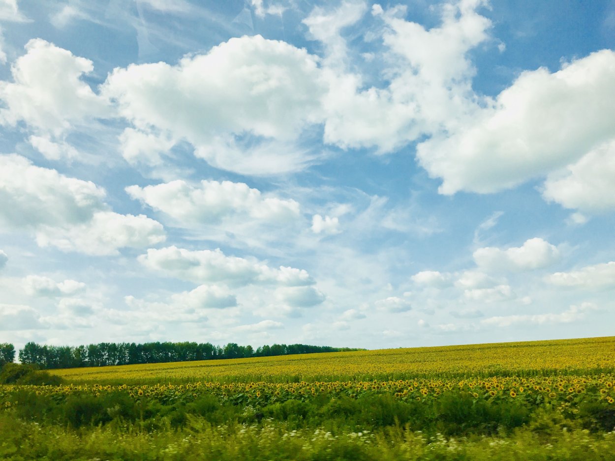 Поля Башкортостана