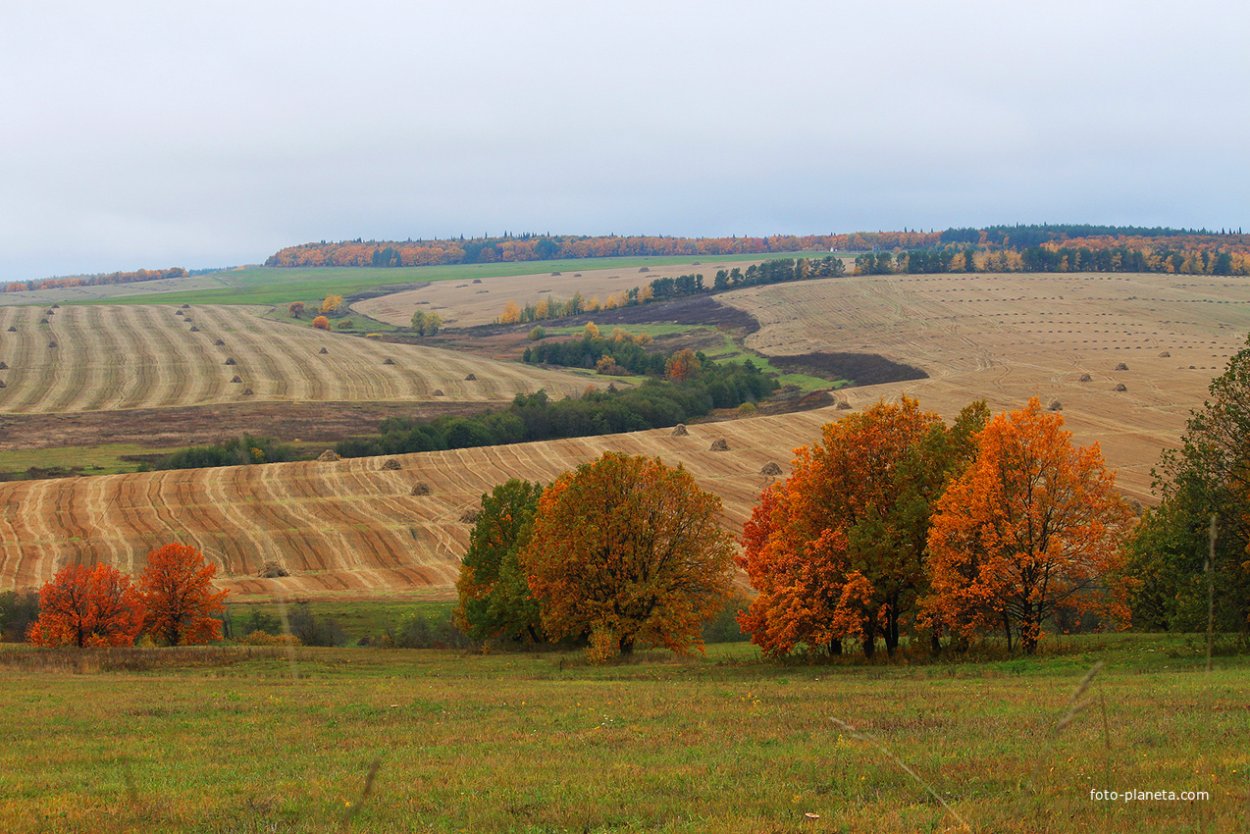 Башкортостан пейзаж Бураево