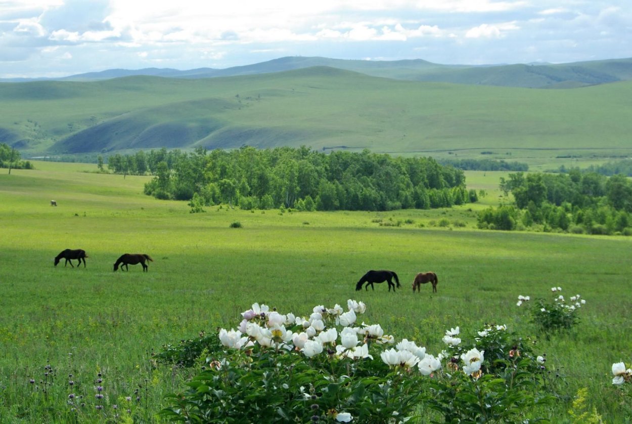 Поля башкирии