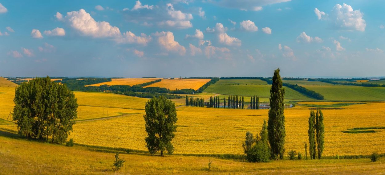 Поля Ставропольского края