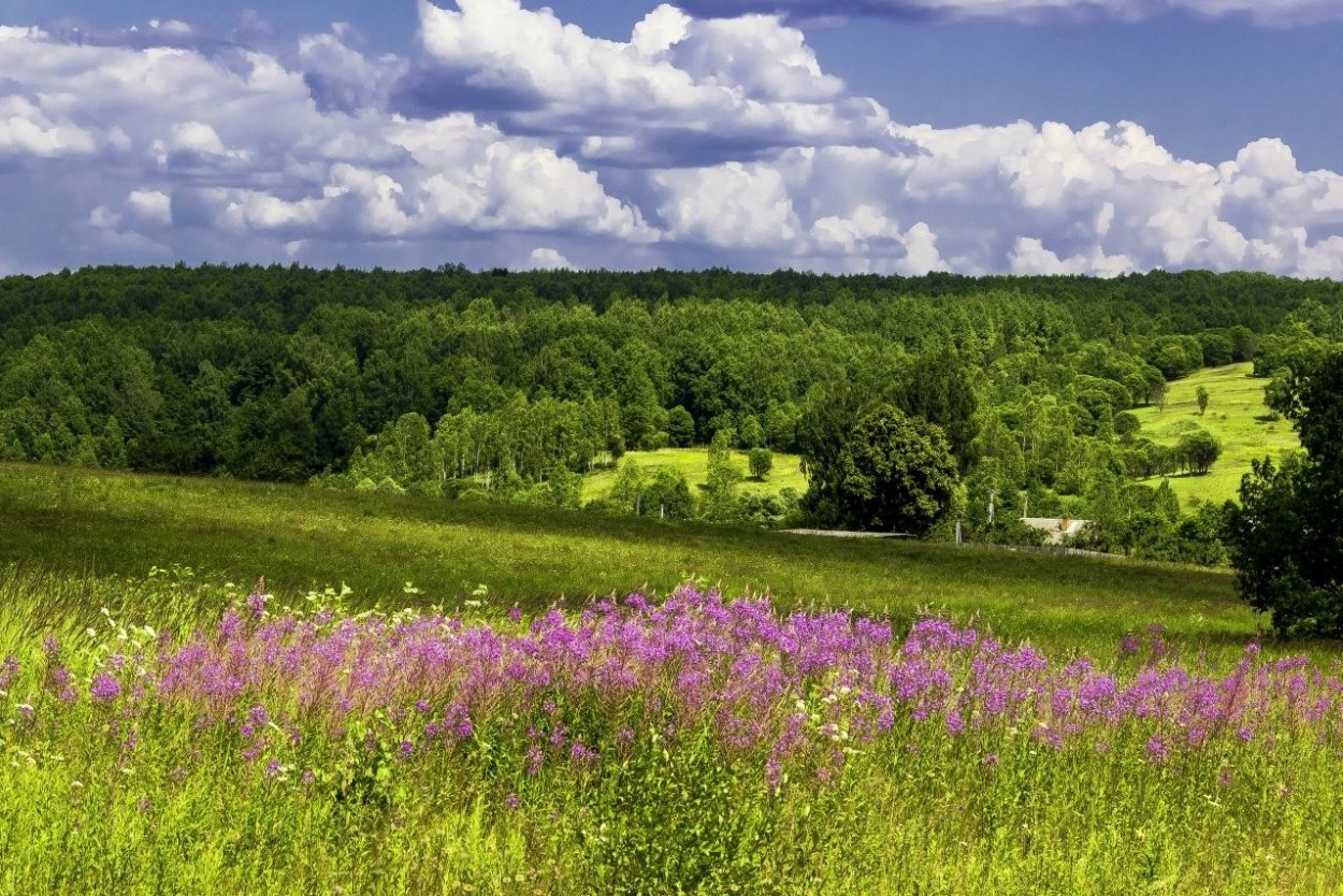 Луга Татарстана